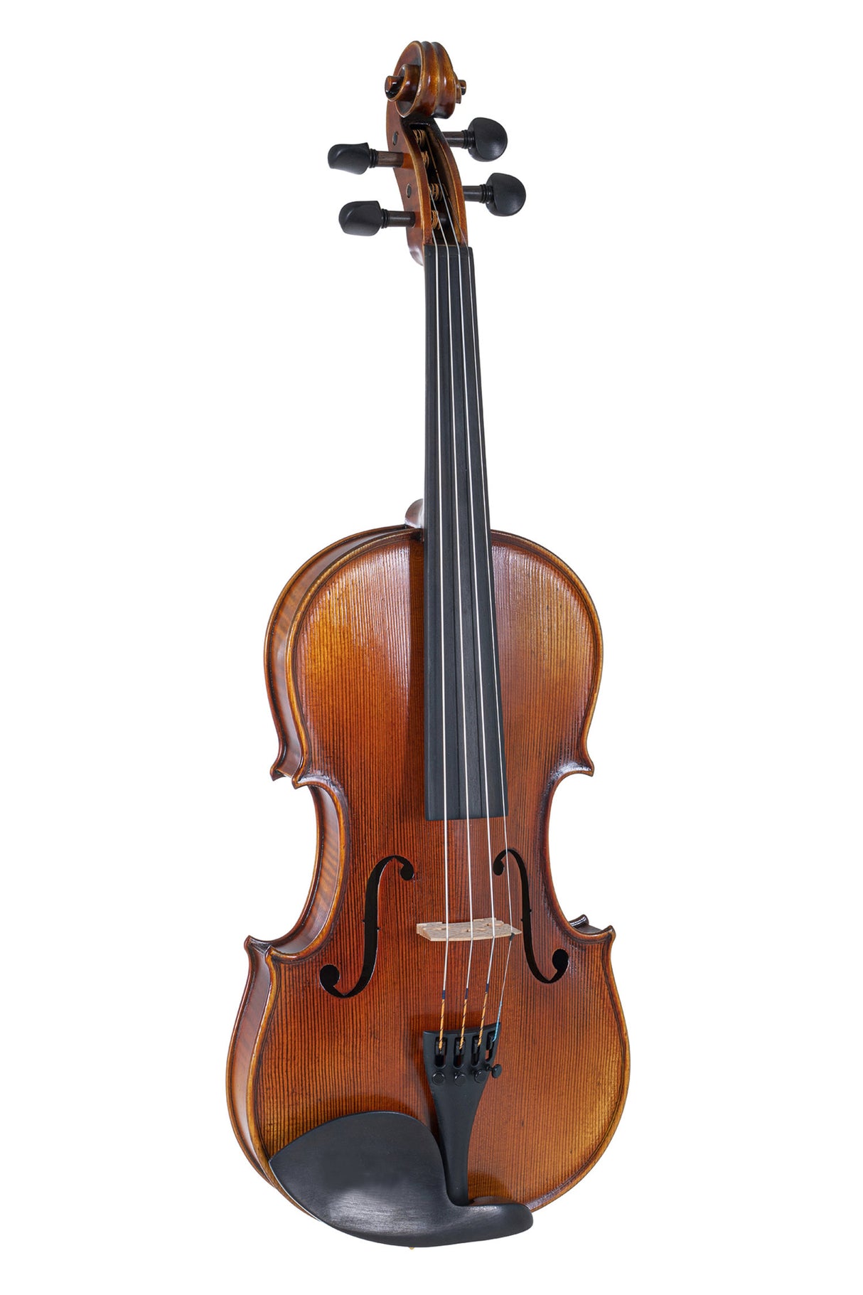 GEWA Violins Maestro 2 - 4/4 (Ready to play incl. GEWA Bio violin case, without bow, with Il Cannone strings)