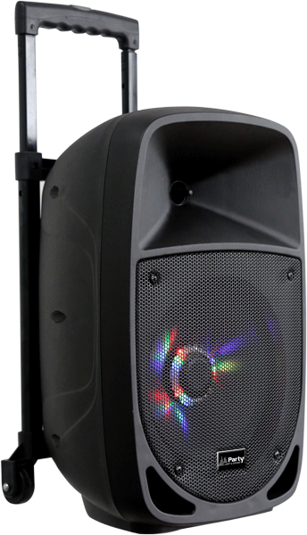 Ibiza Party8LED Festival Speaker (300W)
