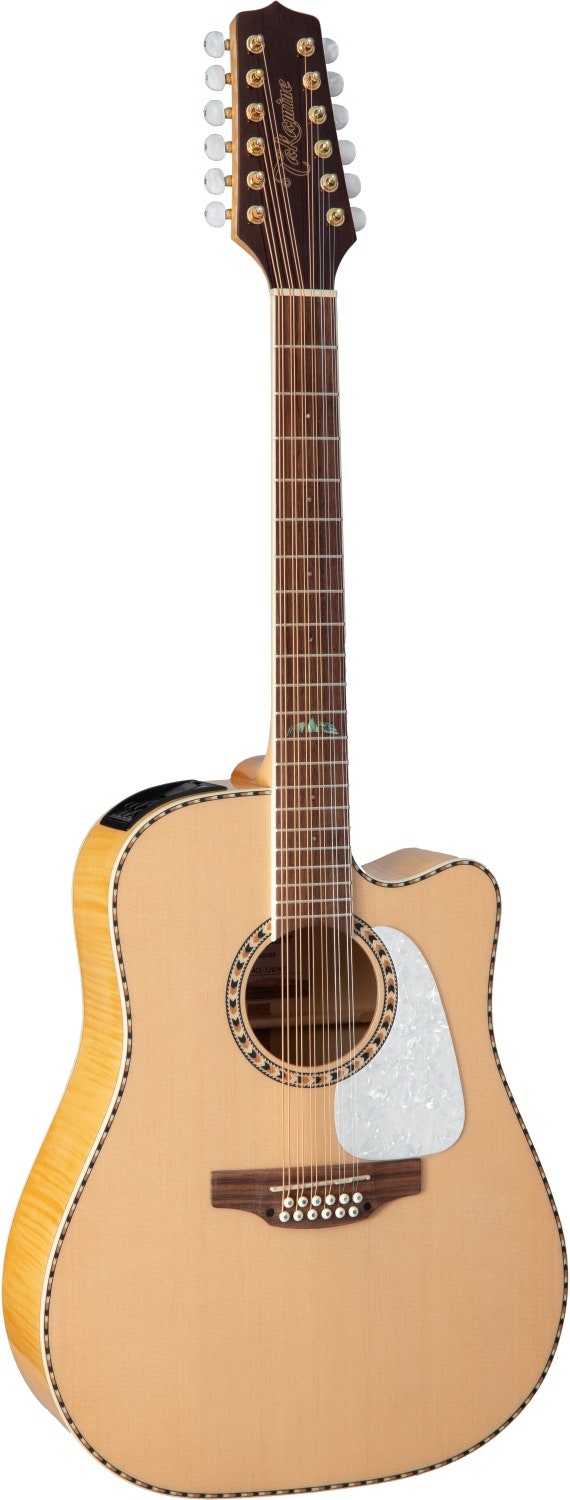 Takamine GD74CE-12U