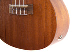 GEWA Concert Ukulele Manoa Kaleo - E-A Concert (Sapelli matte)