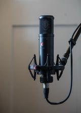 sE Electronics sE2200 Condenser Microphone