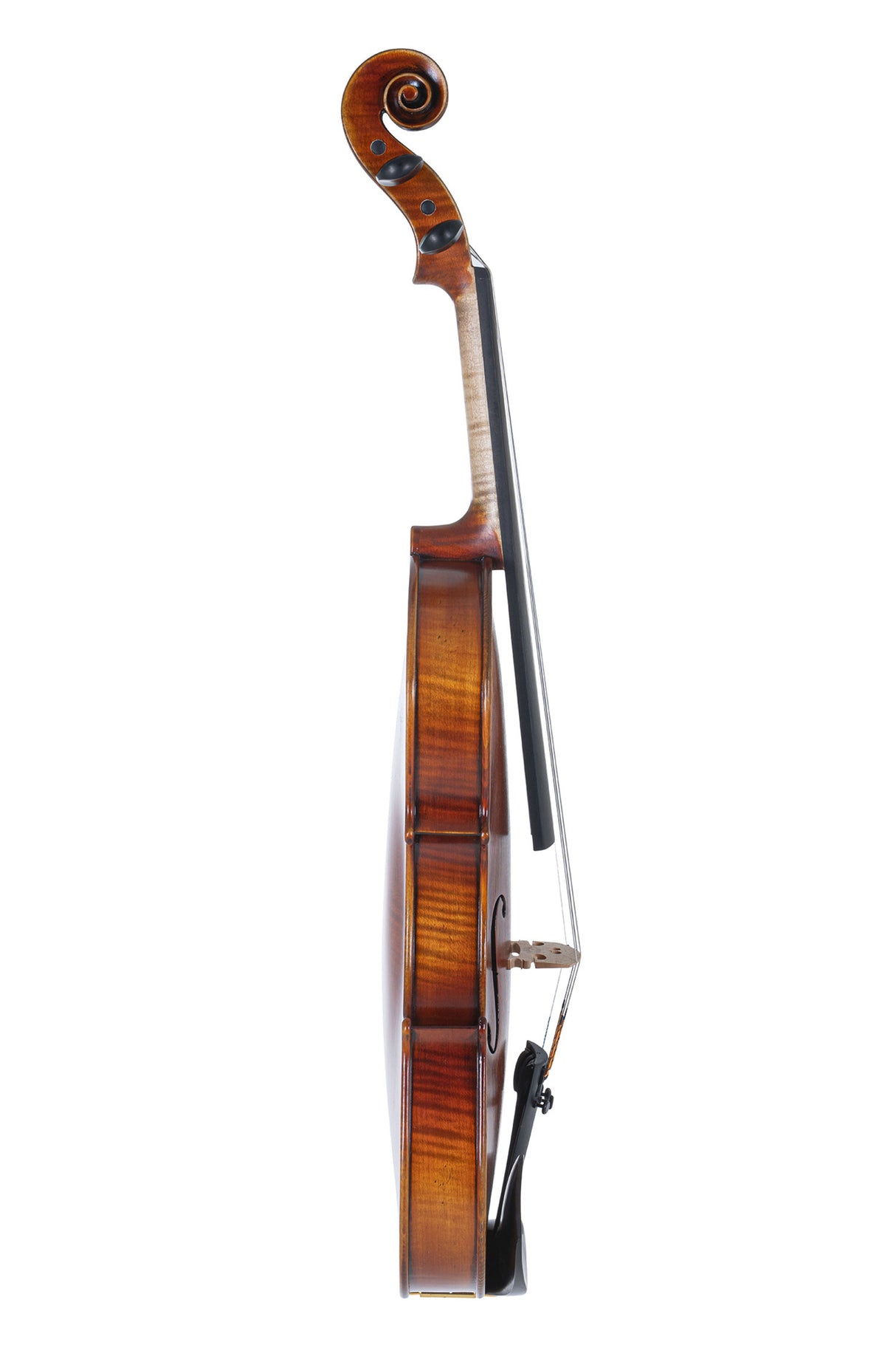 GEWA Violins Maestro 2 - 4/4 (Ready to play incl. GEWA Bio violin case, without bow, with Il Cannone strings)