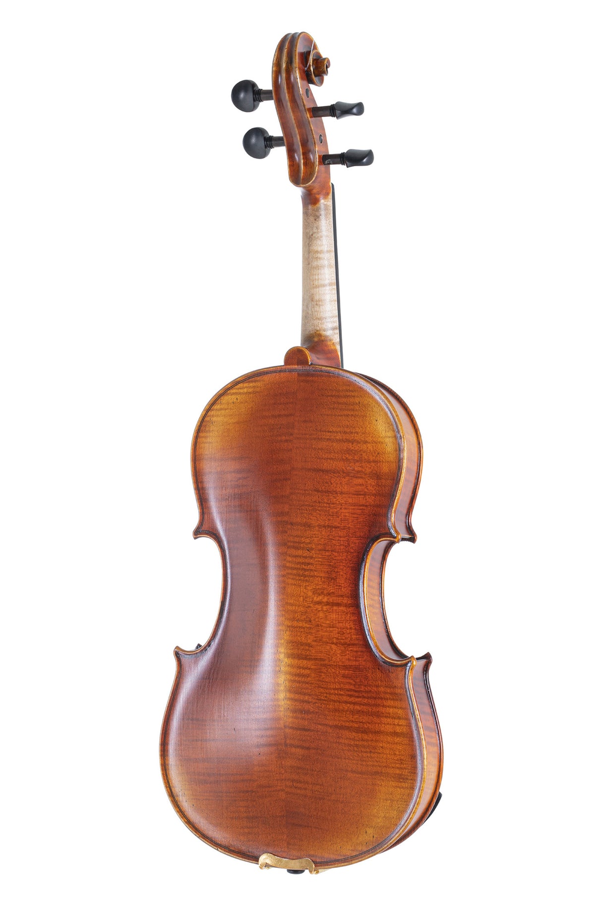 GEWA Violins Maestro 2 - 4/4 (Ready to play incl. GEWA Bio violin case, without bow, with Il Cannone strings)