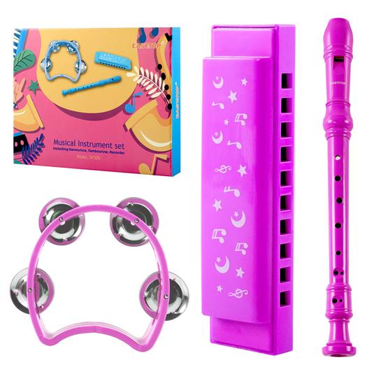 Harmonicas, Recorders and tambourine set in pink.