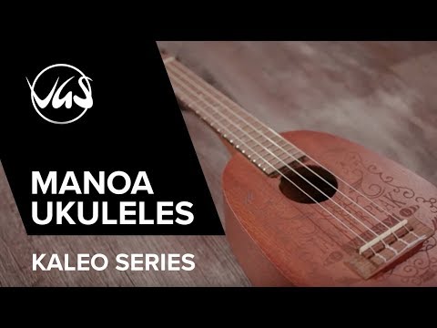 GEWA Tenor Ukulele Manoa Kaleo - E-A Tenor (Sapelli matte)
